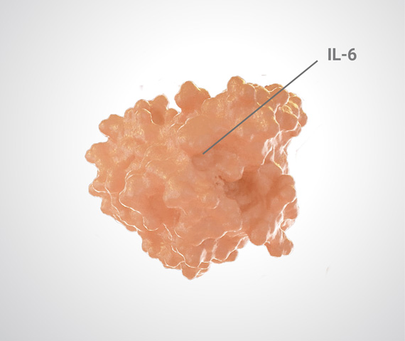 Close-up of interleukin-6 cytokine, the elevation of which can lead to iMCD symptoms.